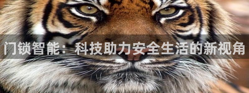开丰娱乐