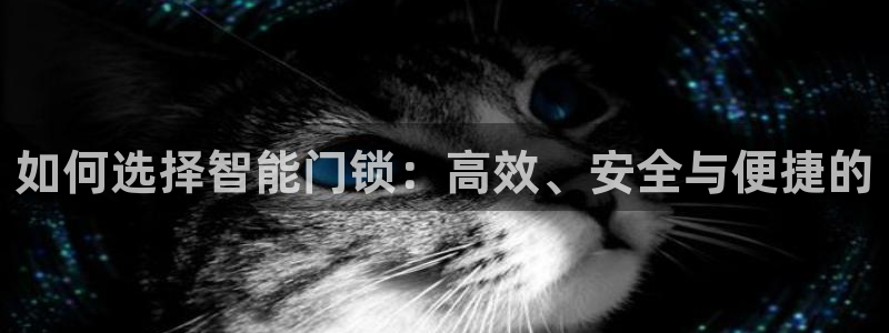 开丰娱乐乙833_43