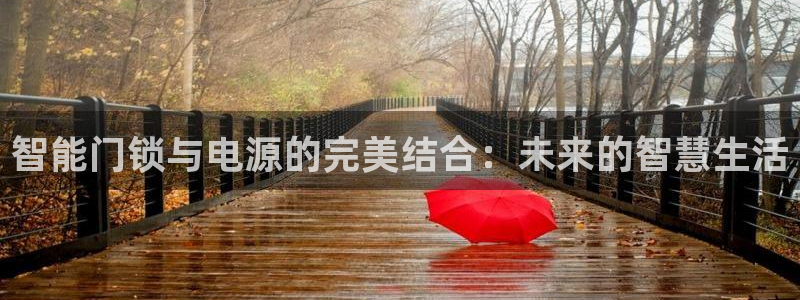 开丰娱乐天：智能门锁与电源的完美结合：未来的智慧生活