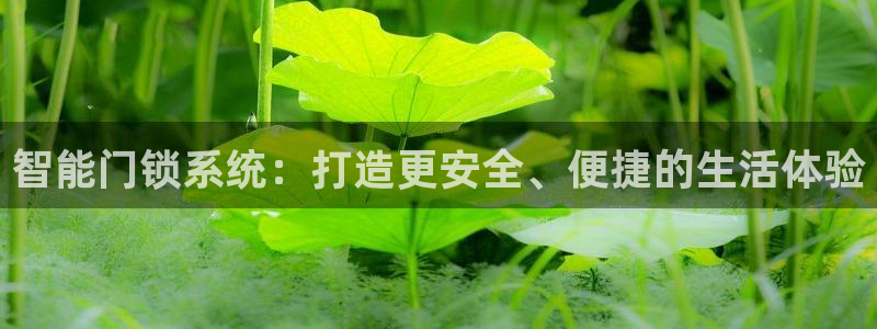 开丰娱乐网站官网下载：智能门锁系统：打造更安全、便捷的生活体