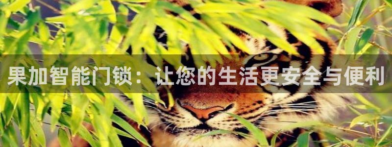开丰娱乐优七九九47：果加智能门锁：让您的生活更安全与便利