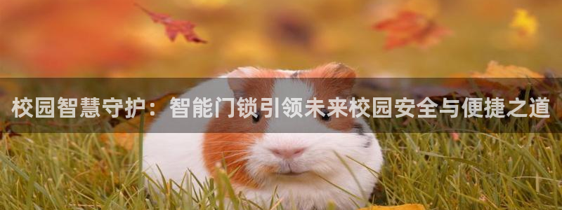 开丰娱乐行业恢复时间：校园智慧守护：智能门锁引领未来校园安全