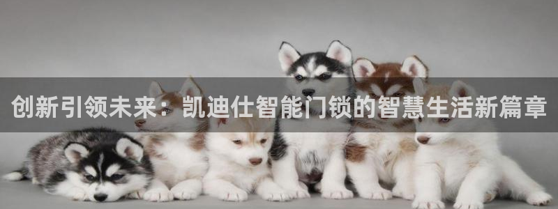 开丰娱乐官网首页：创新引领未来：凯迪仕智能门锁的智慧生活新篇