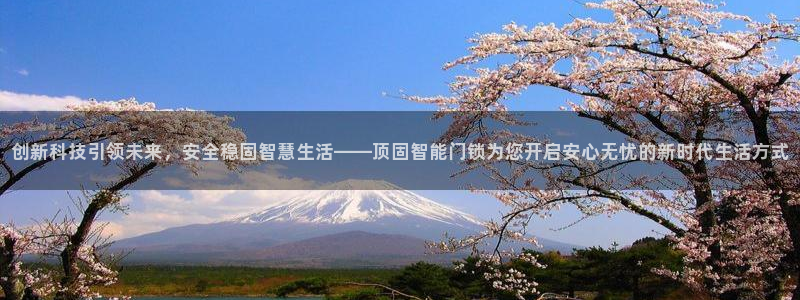 开丰娱乐官网平台登录：创新科技引领未来，安全稳固智慧生活——