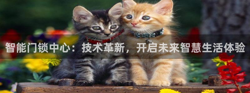 开丰娱乐于六七五一38：智能门锁中心：技术革新，开启未来智慧