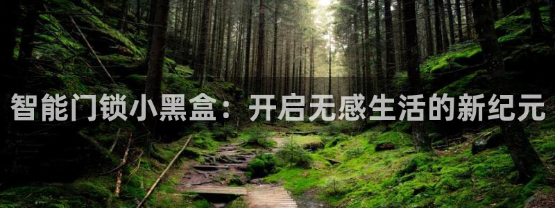 开丰娱乐登录平台下载：智能门锁小黑盒：开启无感生活的新纪元