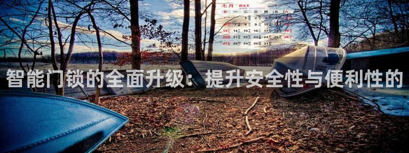 开丰娱乐app：智能门锁的全面升级：提升安全性与便利性的