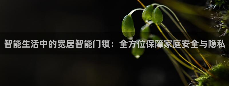 开丰娱乐山67五壹叁八：智能生活中的宽居智能门锁：全方位保障