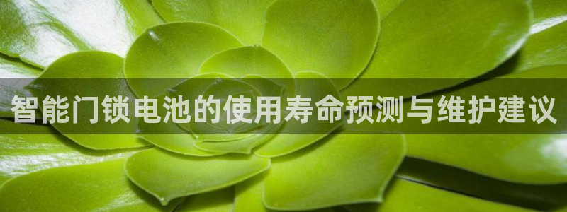 下载开丰娱乐：智能门锁电池的使用寿命预测与维护建议