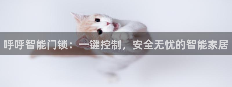 开丰娱乐官网平台网址：呼呼智能门锁：一键控制，安全无忧的智能