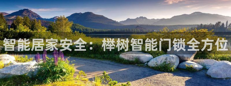 开丰娱乐官网登录平台：智能居家安全：榉树智能门锁全方位