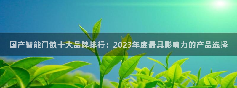 开丰娱乐注册：国产智能门锁十大品牌排行：2023年度最具影响