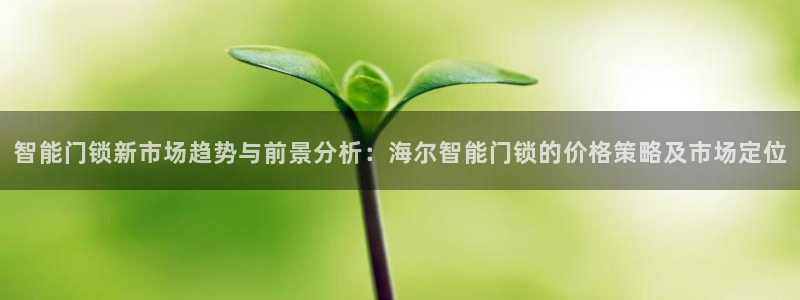 开丰娱乐寸67五壹叁八：智能门锁新市场趋势与前景分析：海尔智