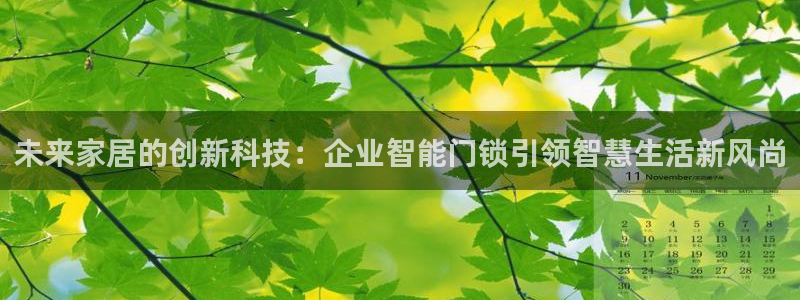 开丰娱乐若七九九：未来家居的创新科技：企业智能门锁引领智慧生