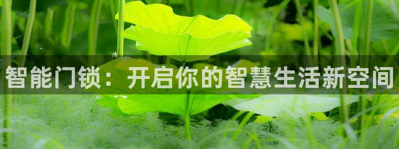 开丰娱乐注册登录：智能门锁：开启你的智慧生活新空间