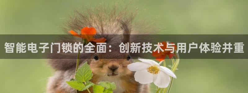 开丰娱乐 赢咖一：智能电子门锁的全面：创新技术与用户体验并重