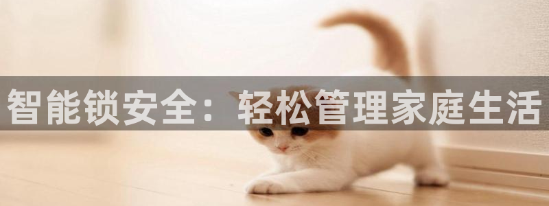 开丰娱乐主管：智能锁安全：轻松管理家庭生活