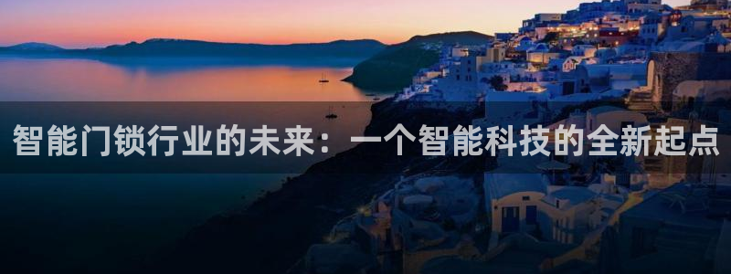 开丰娱乐寸67五壹叁八：智能门锁行业的未来：一个智能科技的全