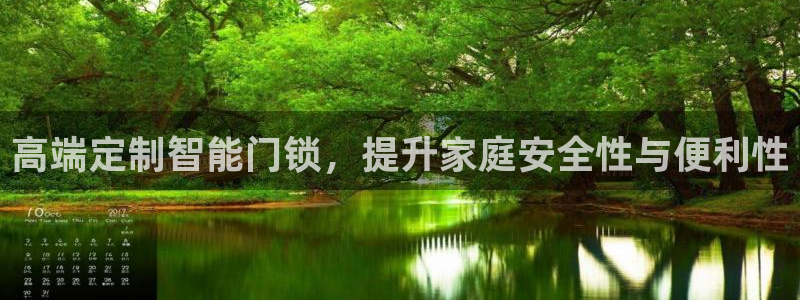 开丰娱乐网站：高端定制智能门锁，提升家庭安全性与便利性