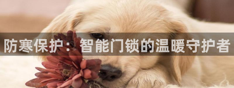 开丰娱乐登入地址：防寒保护：智能门锁的温暖守护者