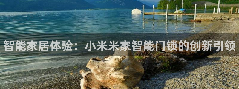 开丰娱乐2登录：智能家居体验：小米米家智能门锁的创新引领
