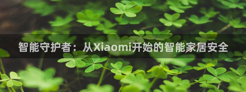 开丰娱乐主管：智能守护者：从Xiaomi开始的智能家居安全