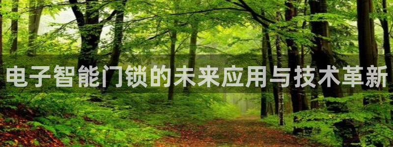 开丰娱乐登入地址是什么：电子智能门锁的未来应用与技术革新