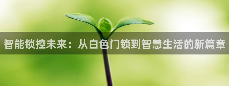 开丰娱乐官网电话：智能锁控未来：从白色门锁到智慧生活的新篇章