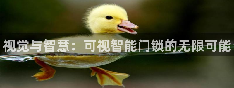 开丰娱乐千67五壹叁八：视觉与智慧：可视智能门锁的无限可能