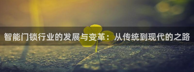 开丰娱乐官网平台：智能门锁行业的发展与变革：从传统到现代的之