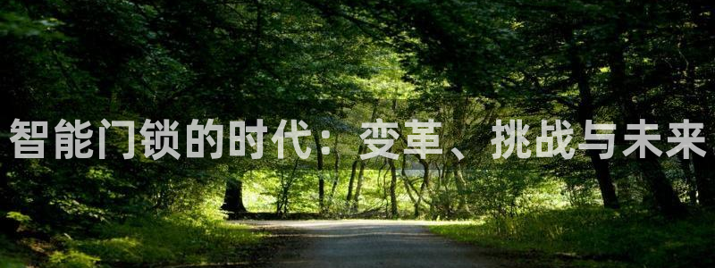 开丰娱乐与六七五一38：智能门锁的时代：变革、挑战与未来