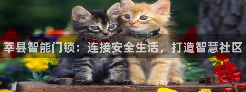 开丰娱乐不开了吗：莘县智能门锁：连接安全生活，打造智慧社区