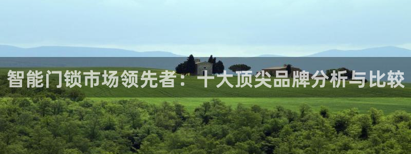 开丰娱乐平台注册时间：智能门锁市场领先者：十大顶尖品牌分析与