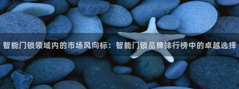 开丰娱乐平台注册地址：智能门锁领域内的市场风向标：智能门锁品