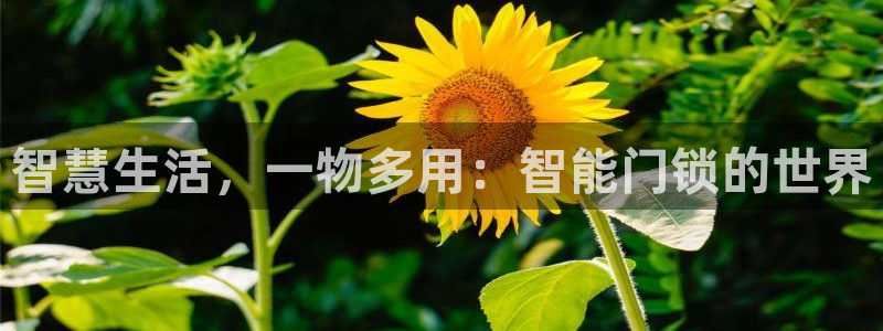 开丰娱乐下载安装：智慧生活，一物多用：智能门锁的世界