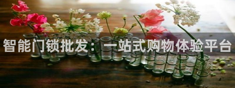 开丰娱乐咋7O777：智能门锁批发：一站式购物体验平台