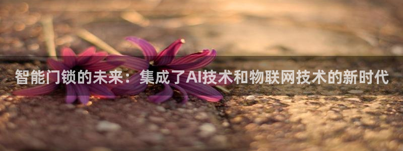 开丰娱乐平台登录网址：智能门锁的未来：集成了AI技术和物联网