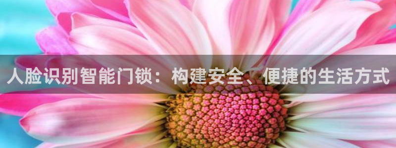 开丰娱乐平台地址在哪里：人脸识别智能门锁：构建安全、便捷的生