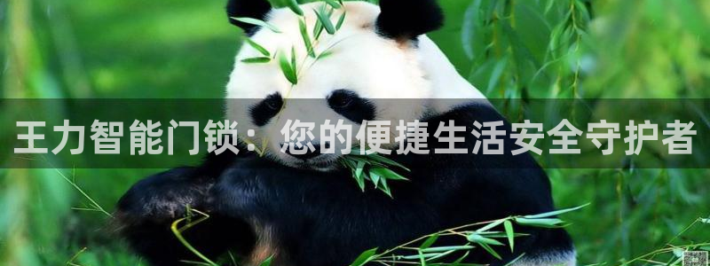 开丰娱乐手机app：王力智能门锁：您的便捷生活安全守护者