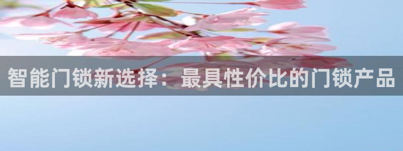 开丰娱乐2登录：智能门锁新选择：最具性价比的门锁产品