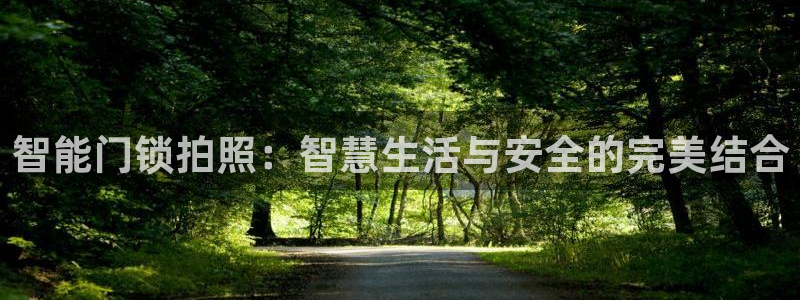 开丰娱乐平台地址电话：智能门锁拍照：智慧生活与安全的完美结合
