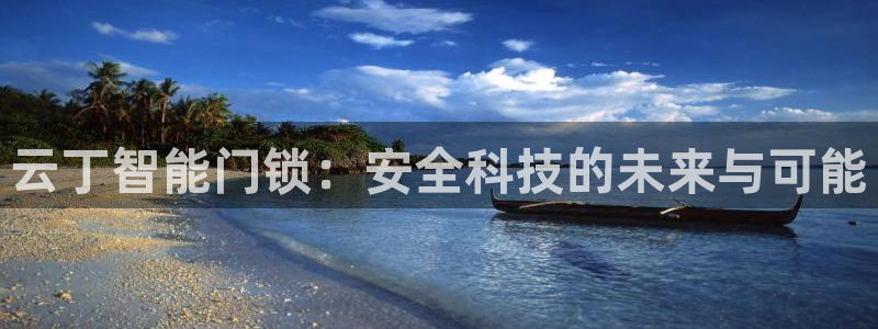 开丰娱乐网址：云丁智能门锁：安全科技的未来与可能