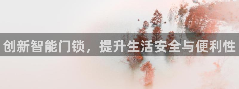 开丰娱乐于六七五一38：创新智能门锁，提升生活安全与便利性