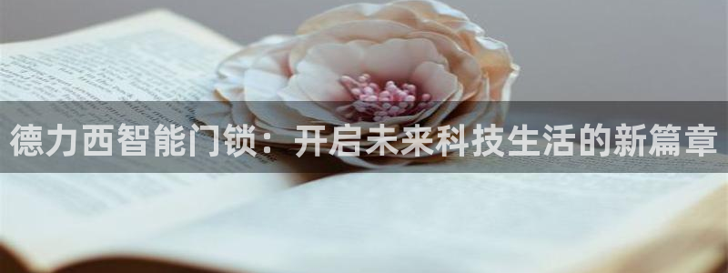 开丰娱乐趣 7O935：德力西智能门锁：开启未来科技生活的新