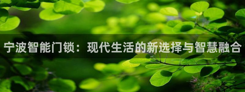 开丰娱乐网站官网首页：宁波智能门锁：现代生活的新选择与智慧融