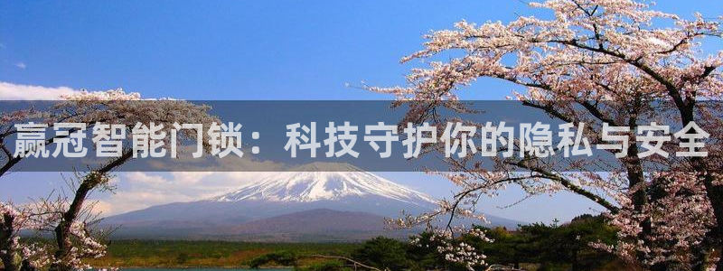 开丰娱乐网站官网入口：赢冠智能门锁：科技守护你的隐私与安全