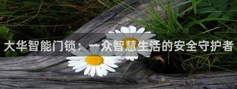 开丰娱乐登入地址在哪：大华智能门锁：一众智慧生活的安全守护者