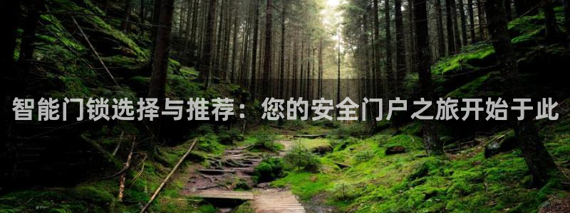 开丰娱乐行业恢复时间：智能门锁选择与推荐：您的安全门户之旅开
