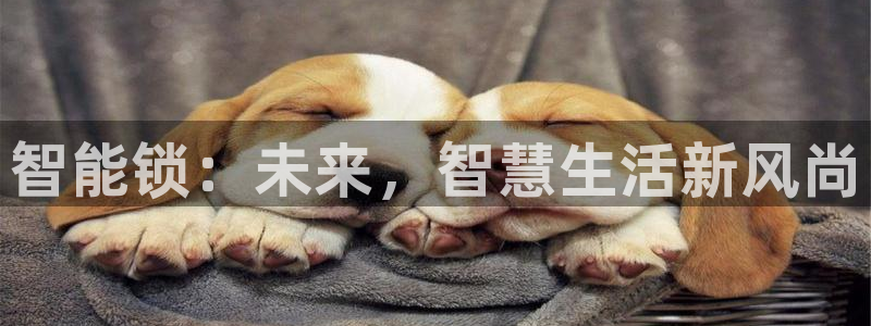 开丰娱乐2登录：智能锁：未来，智慧生活新风尚