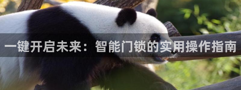 开丰娱乐网站官网：一键开启未来：智能门锁的实用操作指南